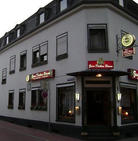 Hotel Zum Dicken Baum Майен Экстерьер фото